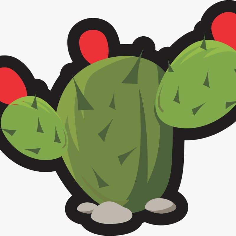 Logo de LA NOPALERA MTB RACE