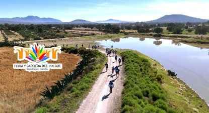 Logo de 11va Feria y Carrera del Pulque Nopaltepec 2026