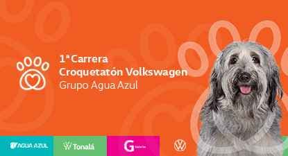 Logo de 1ra Carrera Croquetatón Volkswagen