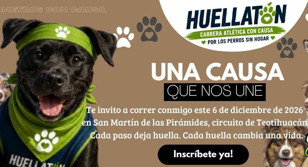 Logo de Huellatón 2026