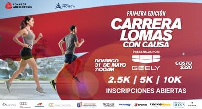 Logo de Lomas con Causa 2026